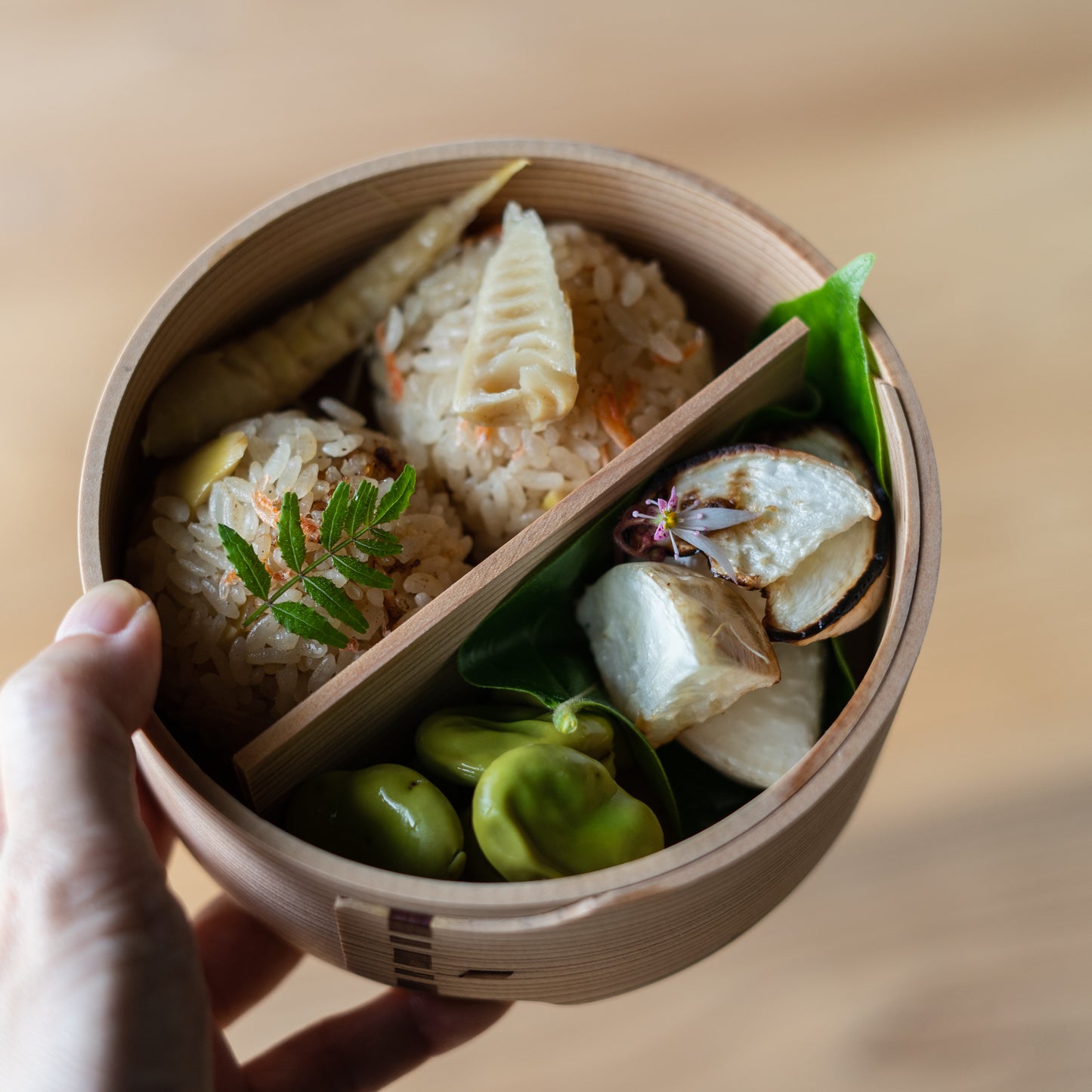 Bento Lunch Box 17 oz Premium Wooden Handcrafted, with Divider & Eco Cloth, Manual